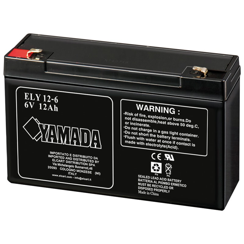 ELCART DISTRIBUTION - BATTERIA RIC.PIOMBO 6V 12,0 AH
