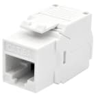 WP - WPC-KEY-6AUP-TL/W PR.KEY CAT6A BI