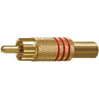 ELCART DISTRIBUTION - SPINA RCA DORATA ANELLO NERO