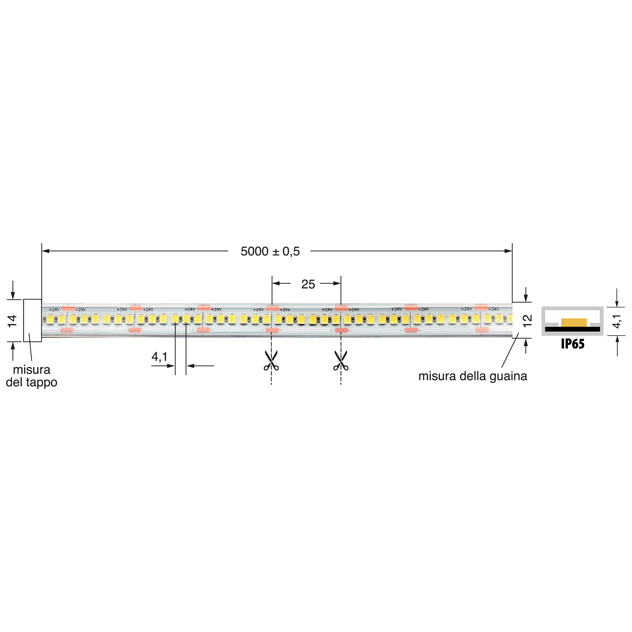 ELCART DISTRIBUTION - LEDSTRIP 20W/MT 24V BFREDDO IP65