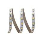 ELCART DISTRIBUTION - STRISCIA LED 14,4W/M BC 24V IP20