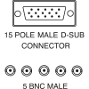 Miniatura Immagine principale 1