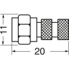 Miniatura Immagine principale 1
