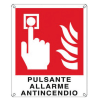 Miniatura Immagine principale 1