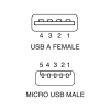 Miniatura Immagine principale 1