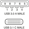 Miniatura Immagine principale 1