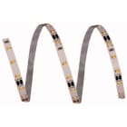 ELCART DISTRIBUTION - STRISCIA LED 5W/M BF 12V IP20 186091000