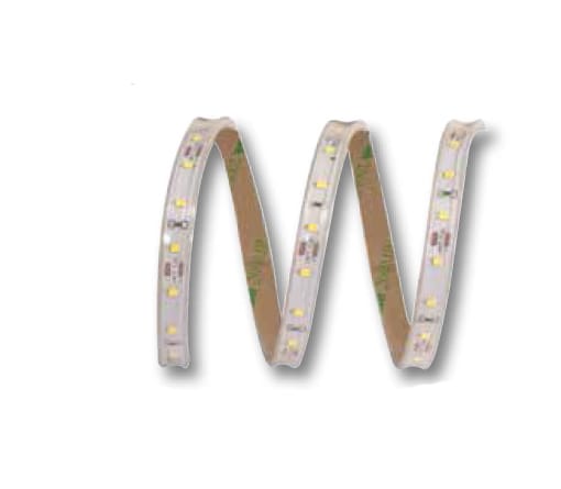 ELCART DISTRIBUTION - STRISCIA LED 5W/M BC 12V IP65 186091800