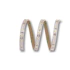 ELCART DISTRIBUTION - STRISCIA LED 5W/M BN 24V IP65 186093200