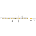 ELCART DISTRIBUTION - STRISCIA LED 8W/M BF 12V IP20 186094000