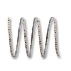 ELCART DISTRIBUTION - LEDST.4MM 10W/MT 24V BF IP20CRI90 186625000