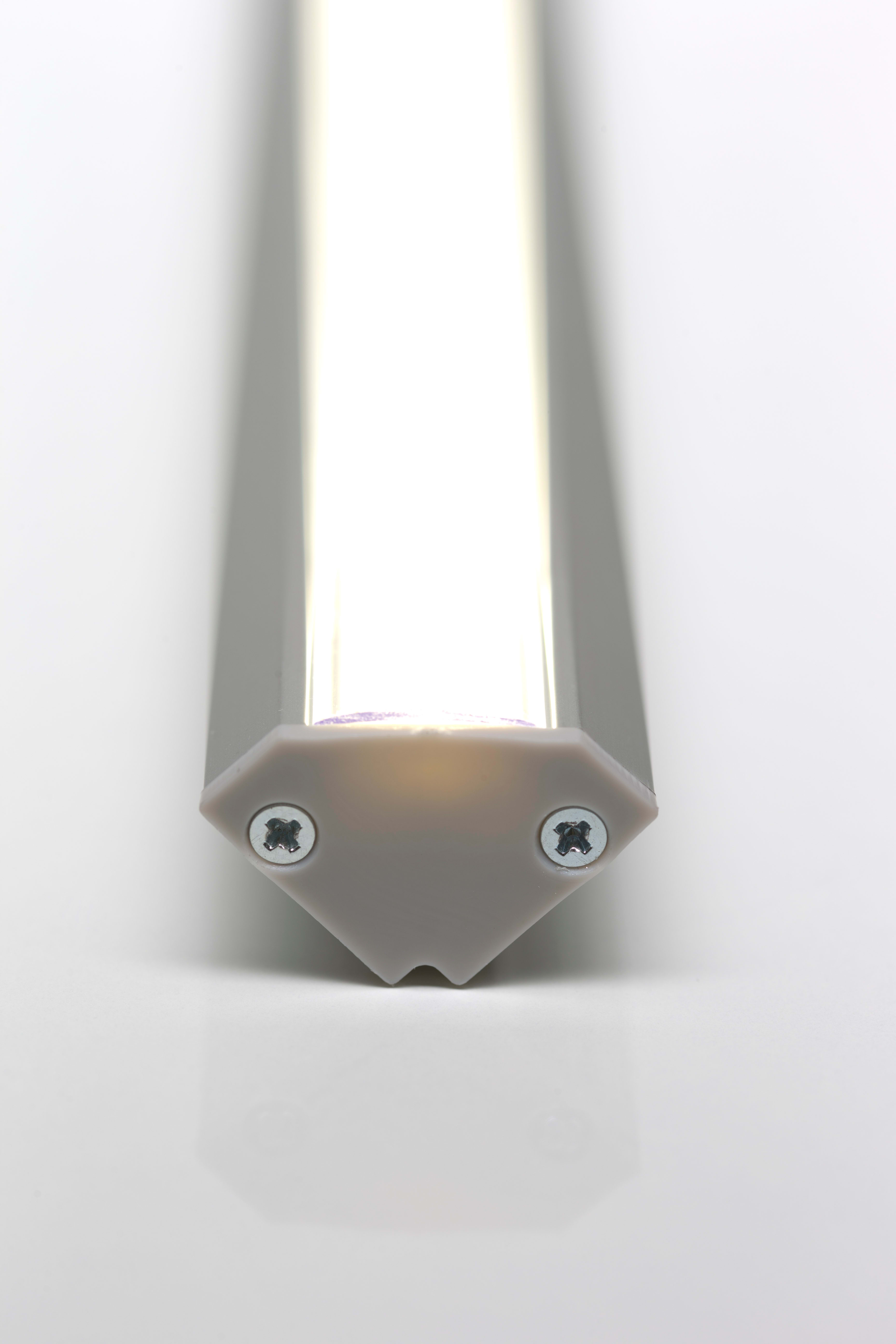 ELCOM - PROFILO 2020 ALL. L=2000MM