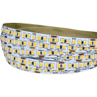 IVELAELCOM - STRIP 196LED/M 16W/M 40K IP65