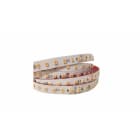 IVELAELCOM - STRIP 112LED/M 16,8W/M CARNE IP65