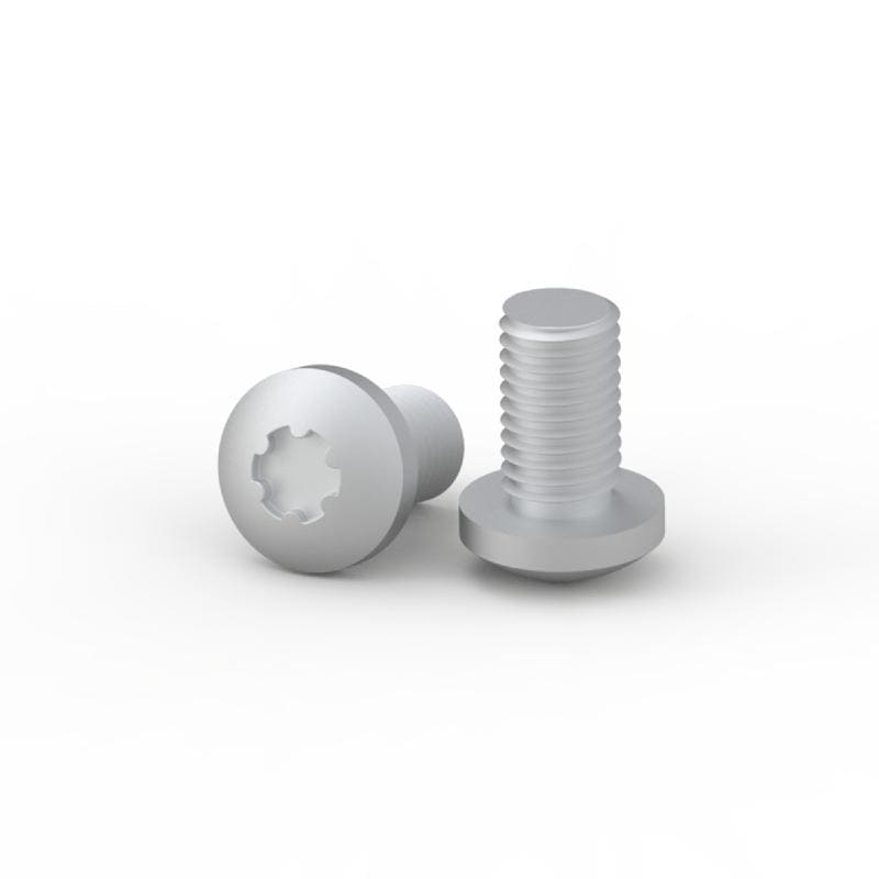 NVENT HOFFMAN - VITI M6X16 PER DADI A GABBIA