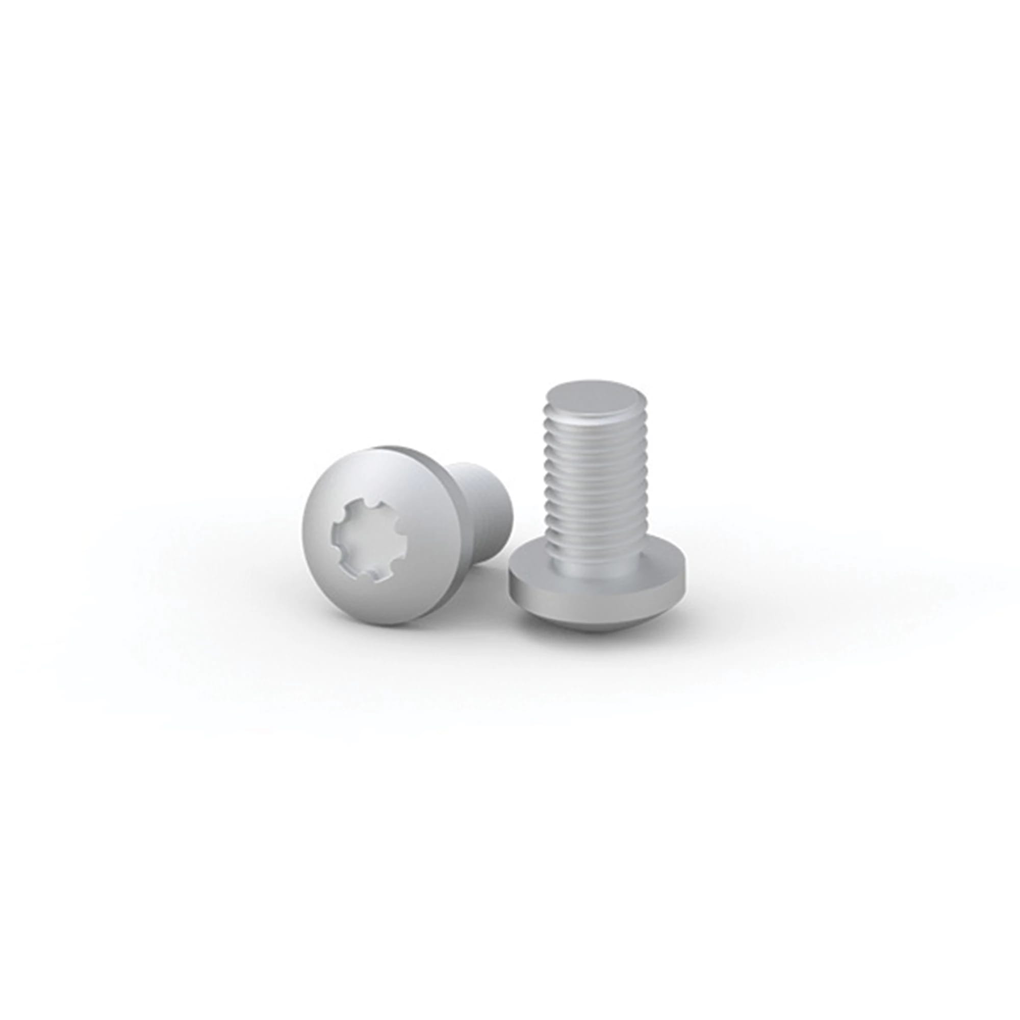 NVENT HOFFMAN - VITI M6X16 PER DADI A GABBIA