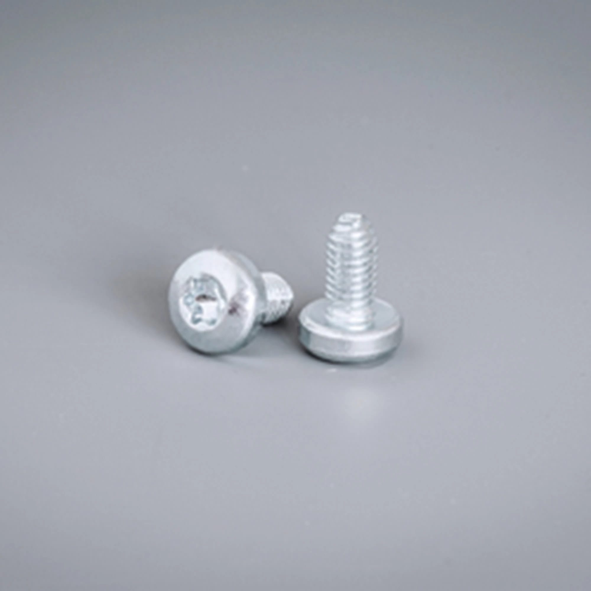 NVENT HOFFMAN - VITI MATERIALE ESTRUSO,M6,TORX