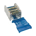 NVENT ERIFLEX - Distributore di potenza quadripolare da 80/100 A con 2 cavi sul lato linea e 13 connessioni sul lato carico, con 14 uscite.