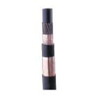 NVENT ERICO - Conduttore da 1.000 mm Unterminated Conductor, 1 M.