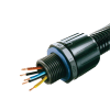Miniatura Immagine principale 1