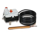 FANTINI COSMI - TERMOST.R/M.100C 2000/R+2 MORS. 973-99348-01A