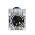 FANTON - Presa da incasso 2P+T 16A 230V 6h, IP67, flangia ridotta, colore grigio