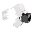 FANTON - Presa RJ45 cat.5e UTP 180 TOOLLESS, colore bianco