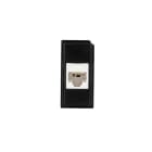 FANTON - Kit presa RJ45 cat.6 UTP 180 con adattatore KEYSTONE per serie BTICINO LIVING NOW, colore nero