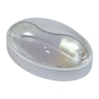 FANTON - Plafoniera MAXI ovale 100W E27 IP65 con palpebra, colore argento metallizzato