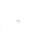 FEMI-CZ - ROS.GROWER D.10(17) AISI 304 100PZ I