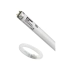 FEILO SYLVANIA - F15 T8 BL368