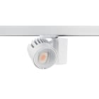 FEILO SYLVANIA - BEACON WALLWASHERLEDO/BDI48W3823LM3000KL