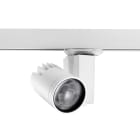 FEILO SYLVANIA - BEACON ACCENT II 97NB L3 OB21W503LM3000K