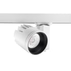 FEILO SYLVANIA - BEACON XL ACCENTII97MBL3 OB33W2668LM300K