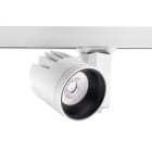 FEILO SYLVANIA - BEACON XL ACCENTII97WBL3 OB33W2478LM4000