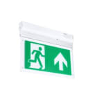 FEILO SYLVANIA - START EMERG.3 ORE EXIT SURFACE MT M