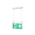 FEILO SYLVANIA - START EMERG.3 ORE EXIT SURFACE SUSP.MT M