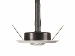 FEILO SYLVANIA - ROUTELEDII OPEN AREA 2059459