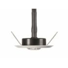 FEILO SYLVANIA - ROUTELEDII OPEN AREA