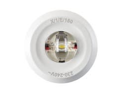 FEILO SYLVANIA - ROUTELEDII CORRIDOR 2059460