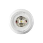 FEILO SYLVANIA - ROUTELEDII OPEN AREA DALI