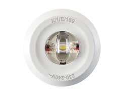 FEILO SYLVANIA - ROUTELEDII CORRIDOR DALI