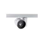 FEILO SYLVANIA - BEACON XL MUSE 3K DALI L3 BIANCO