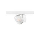 FEILO SYLVANIA - BEACON XXL MB 48W 3670LM 3000K L3 BIANCO