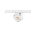 FEILO SYLVANIA - BEACON XXL WB 48W 4355LM 3000K L3 BIANCO