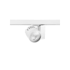 FEILO SYLVANIA - BEACON XXL NB 48W 4181LM 4000KO/B DIM L3