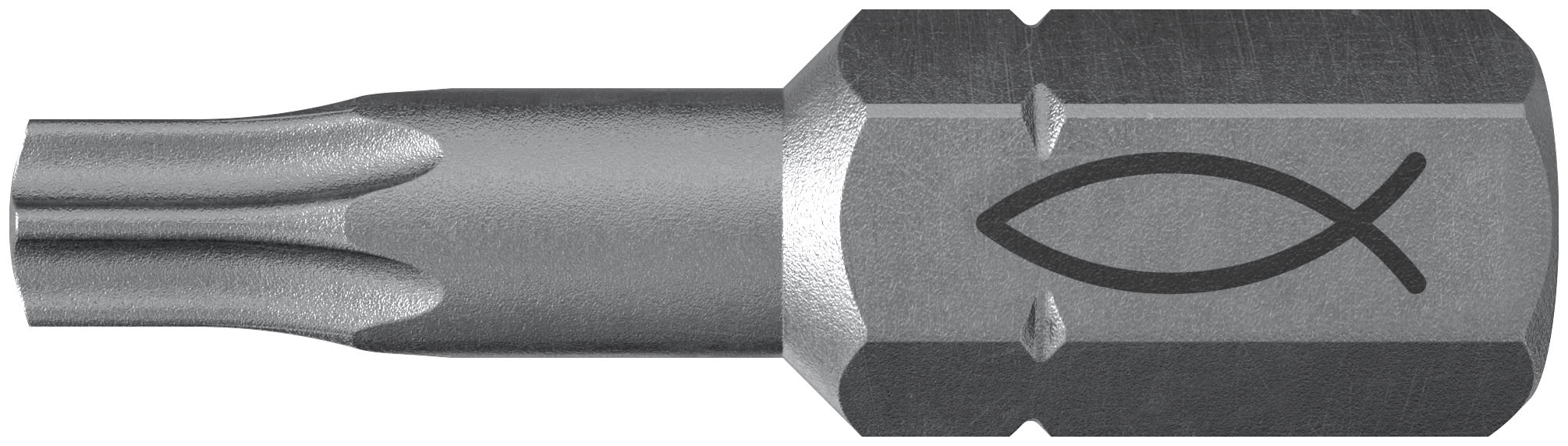 FISCHER - FPB T 15 PROFI BIT W 10