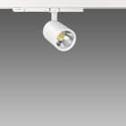 FOSNOVA - .ASSO B BIG 0434 LED 26W CLD-D-D NER