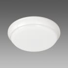 FOSNOVA - TORTUGA 0424 17W 4K CLD-EC BIA
