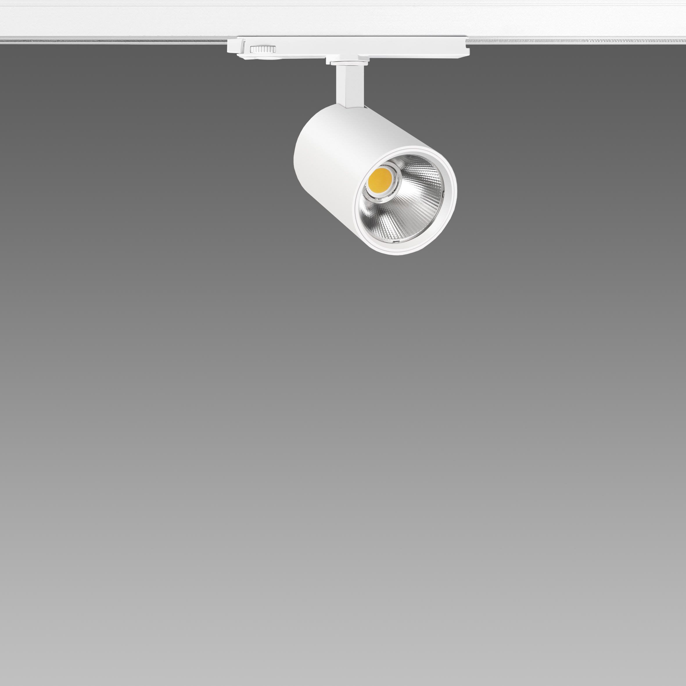 FOSNOVA - ASSO B BIG 0434 LED 26W 25 CLD BIA